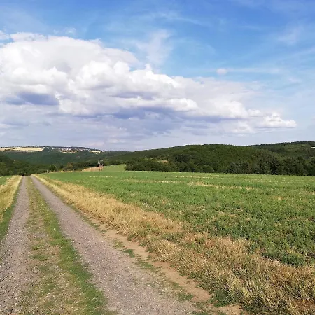 Ferienwohnung Altmaier - Ferien Auf Dem Lande Griebelschied Exterior foto